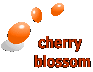 cherry  blossom