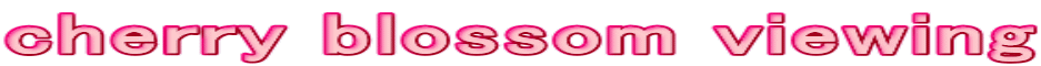 cherry blossom viewing 